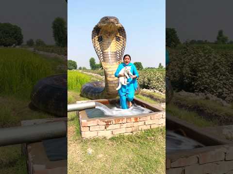 power of prayer #viralvideo #trendingshorts #emotional #prayer #ai
