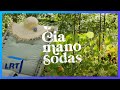 Čia mano sodas. Žemės sklypo dizainas bei džiovintų gėlių grožybės