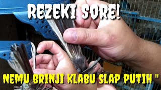 Rezeki Sore! Nemu brinji klabu slap putih