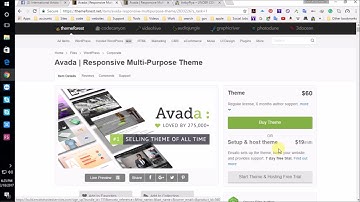 How to build your art online store Installing Avada theme