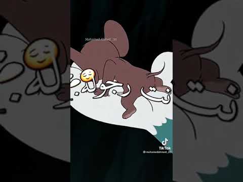 حلات وتس صاحبي وي اخوي انا عشرت كم سنه