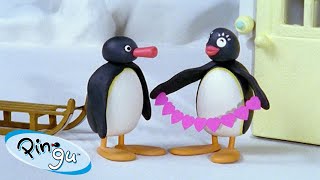 Pingi's Valentines Card 🐧 | Pingu - Official Channel | Cartoons For Kids