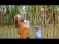 YQ X Rezzy Dynamic Duo Official Video YQ X Rezzy Dynamic Duo Official Video