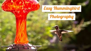 Easy Hummingbird Photography Tutorial How to Shoot Hummingbird Photos