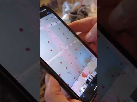 КАК СДЕЛАТЬ ШУМОИЗОЛЯЦИЮ