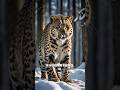 Rare Wild Animals: Threatened Species#WildlifeConservation #EndangeredSpecies #ProtectOurPlanet