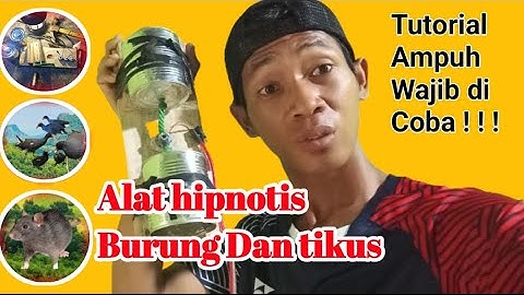 TUTORIAL ALAT HIPNOTIS BURUNG AMPUH.. ‼️Bird hypnotist