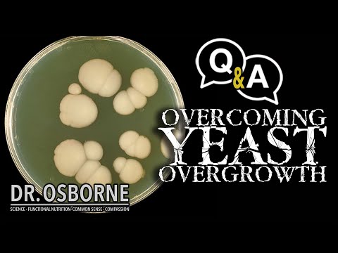 Overcoming Yeast Overgrowth - PDOB Q&amp;A