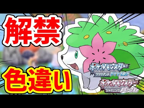 ポケモンbdsp 超貴重 ついに解禁されたシェイミの色違いが欲しい Youtube