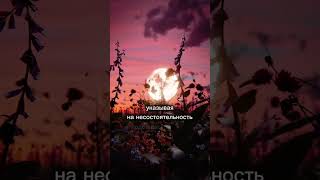 Ислам разрушает стереотипы о равенстве. #shorts