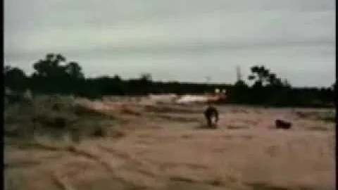 Cattle Hooves vs. Nuclear Shock Wave