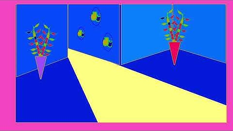 Confusions “Orange” (official music video) 