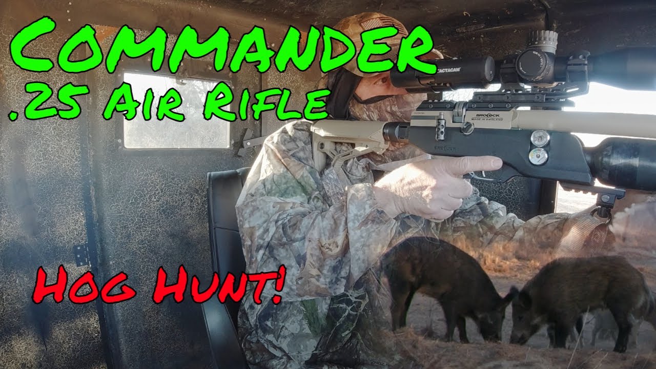Airgun Hunt Out for Hogs with the Commander .25 air rifle. YouTube