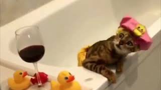 Интересные и позитивные видео и фото... Интересные и позитивные видео и фото...