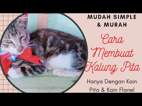 Cara membuat kalung kucing dari kain bekas