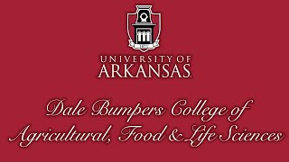 Spring 2024 Bumpers College of Agricultural, Food & Life Sciences