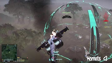 Hornets are fun right?