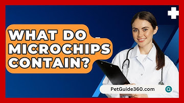 What Do Microchips Contain? - PetGuide360.com