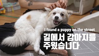 What happens when an abandoned dog receives love | Shu and Tree is Coming [Ep.4]