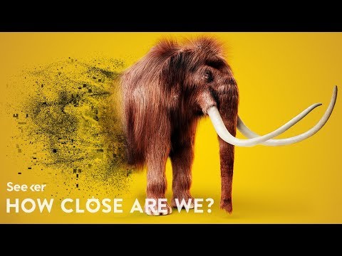 How Close Are We to Resurrecting Extinct Species?