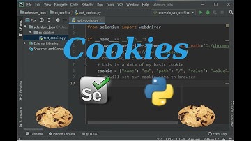 How to set Cookies on selenium with python