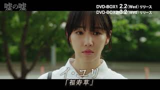 「嘘の嘘」DVD-BOX 2/2（水）～発売！