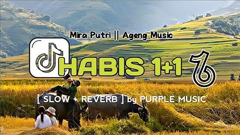 HABIS 1+1 || MIRA PUTRI - AGENG MUSIC [SLOW + REVERB]🎧