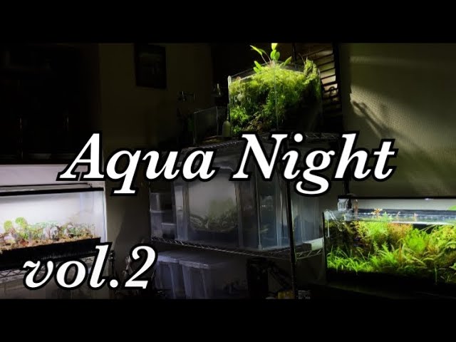 Episode 32] 