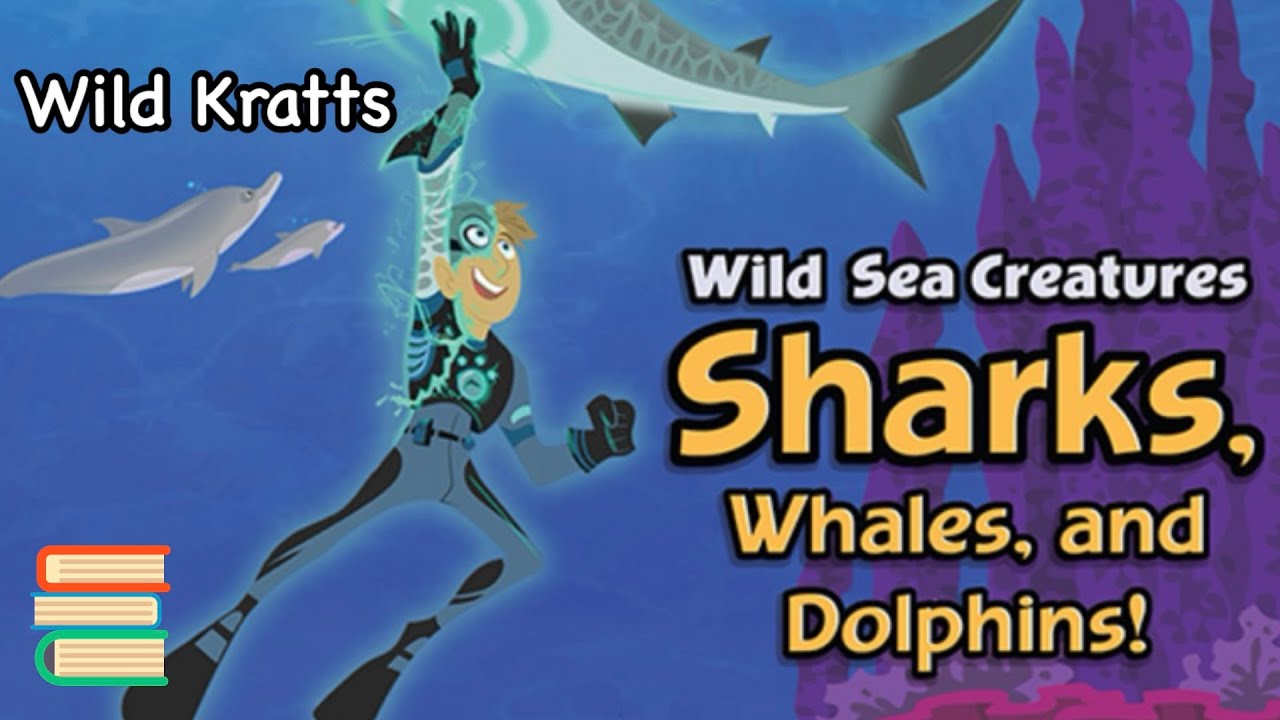 WILD KRATTS | WILD SEA CREATURES: SHARKS, WHALES, AND DOLPHINS! | Children's Read-Aloud Book