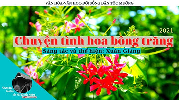Chuyện tình hoa bông trăng (2021). Sáng tác và thể hiện: Xuân Giảng | Trai Xứ Mường