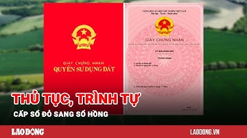 Thủ tục, trình tự cấp sổ đỏ sang sổ hồng | Báo Lao Động
