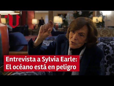 ¿Qué Hizo Sylvia Earle Durante Su Carrera?