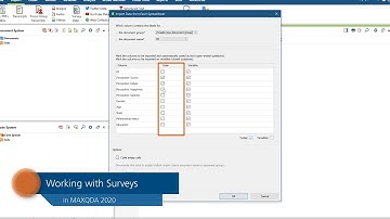 Working with surveys in MAXQDA 2020