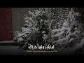 أيقنتُ أن الله يجبرُ خاطري | أناشيد دينية | منصور السالمي 💙🎶