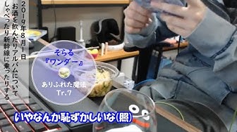 そらる切り抜き そらるさんによるワンダー解説 07 ありふれた魔法 音楽 Youtube