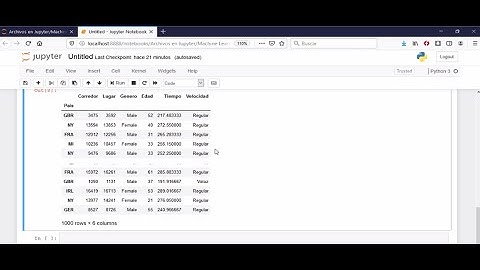 Categorización de Variables en Python