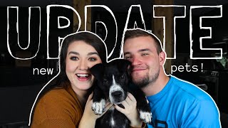 Life Update: Meet My Puppy, Snake, And How I'm Dealing with Burnout!