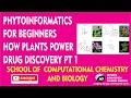 Phytoinformatics for Beginners 🌿 | How Plants Power Drug Discovery