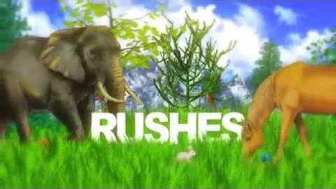 Graphic Jungle - After Effects Template