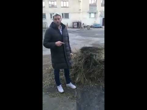 Андрей Дементьев-Корнилов о гнилом сене для слонов в Росгосцирке