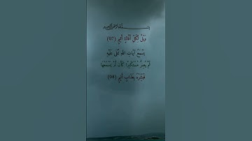 القرآن الكريم سورة الجاثية #سعد_الغامدي