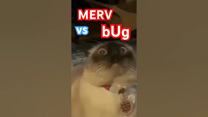 CAT GOES 2 OHIO 2 eat a BUG (protesT) NOOOO OHiOOOOO #bagagwa #bugs #backtoschool #catsofyoutube