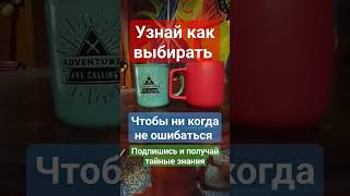 как выбирать чтобы не ошибаться #shorts #аяуаска #аяваска #бизнес  #выбор #бизнесидеи