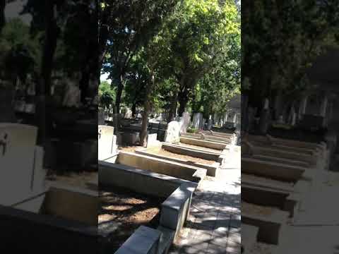 Video: Çok Aileli Mimari Anıt
