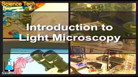Introduction to Light Microscopy