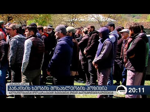 პანკისის ხეობის მოსახლეობის პოზიცია