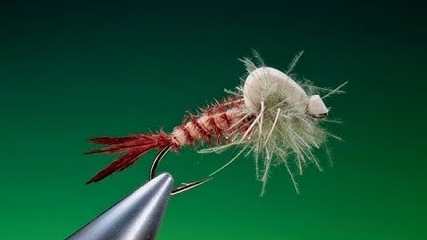 Tying a foam mayfly emerger with Barry Ord Clarke