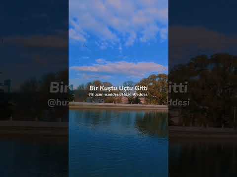 Volkan Konak -