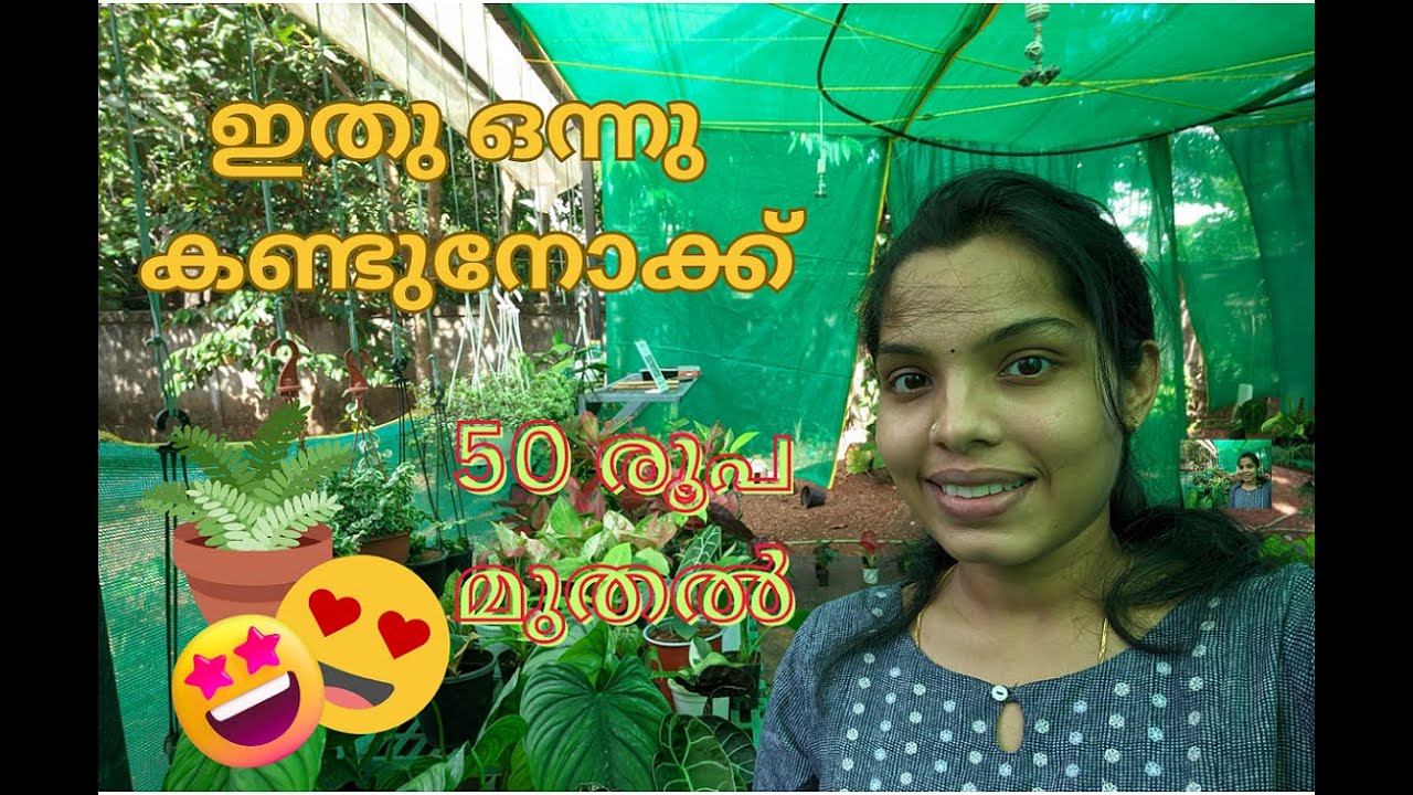 New Collections Arrived WhatsApp call 9633323975 7907945540 YouTube new-collections-arrived-whatsapp-call-9633323975-7907945540-youtube