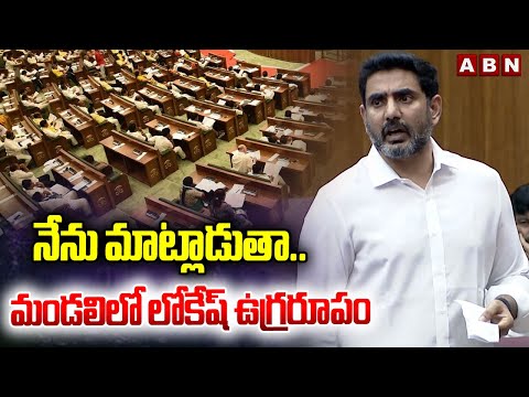 నేను మాట్లాడుతా..మండలిలో లోకేష్ ఉగ్రరూపం | Minister Lokesh Fires On YCP MLCs In Council | ABN - ABNTELUGUTV